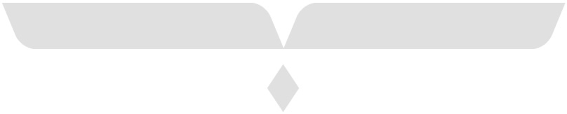service oem06